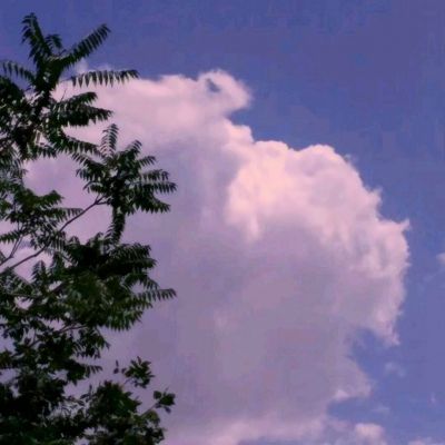 头脑风暴答题神器(暂未上线)v1.0 安卓版